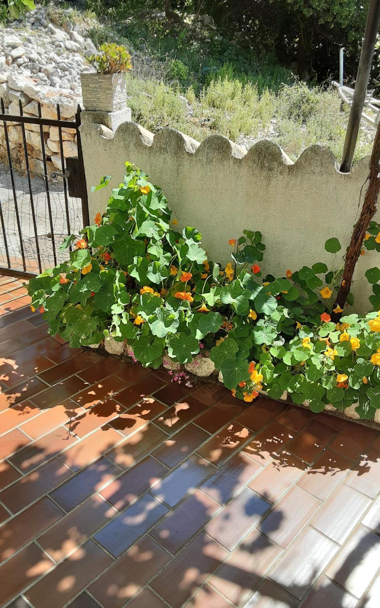 Apartman Legac Starigrad  Exterior foto