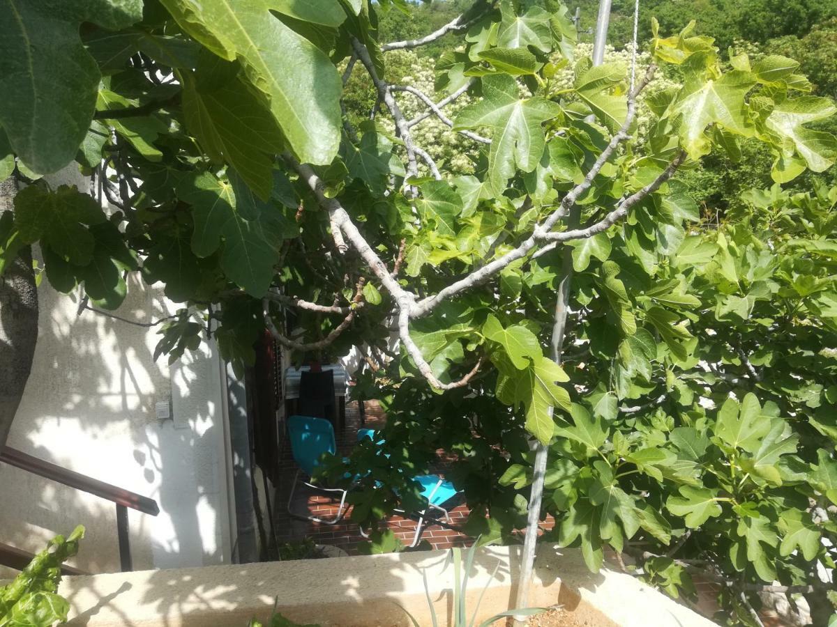 Apartman Legac Starigrad  Exterior foto